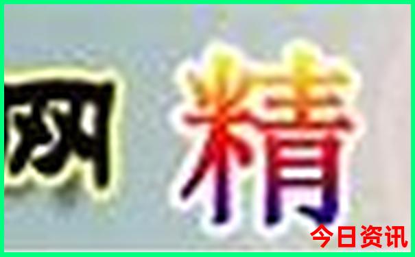 995252网站查询